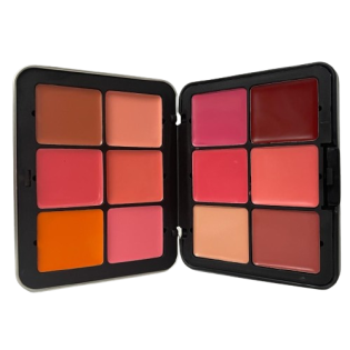 Quick fix blush pallet