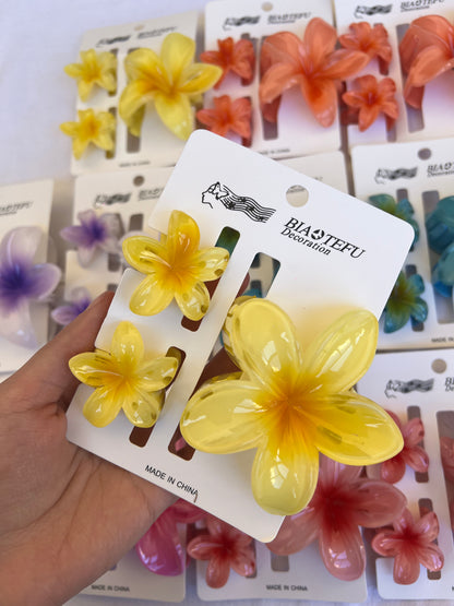 Hair clip set