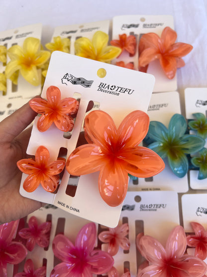 Hair clip set