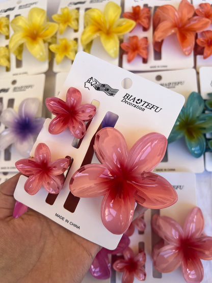 Hair clip set