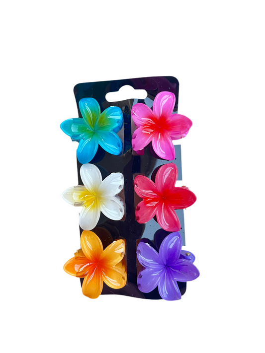 Mini hair clip set of 6 pieces