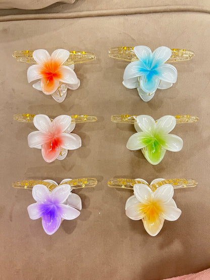 Hair clips