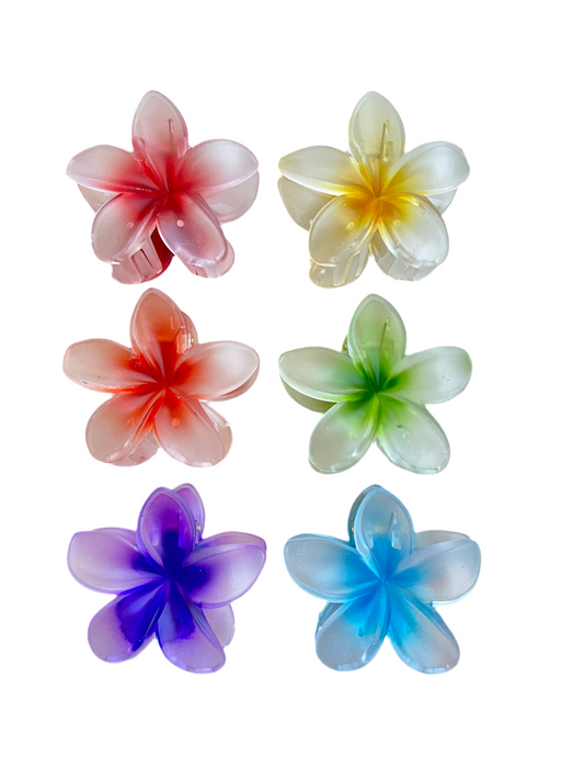 hair clip large